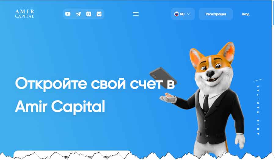 Amir Capital, Amir Wallet amir.capital – обман, лохотрон, мошенничество, финансовая пирамида, отзывы