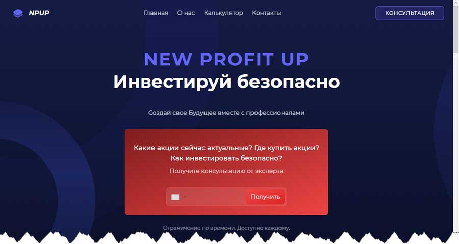 NEW PROFIT UP (NPUP) newprofit-up.com – обман, мошенничество, лохотрон, отзывы